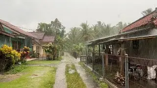 [4K] Heavy Rain in a Beautiful Village Atmosphere | ASMR The Sound of Rain in a Village in Indonesia