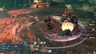 Blade & Soul: Lyn Blade Dancer Solo [Giant Venomous Plague Mite Level 14] Boss Fight NA