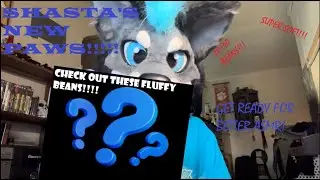 Shastas New Handpaws! (Opening my brand new paws!)