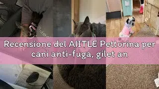 Recensione del AIITLE Pettorina per cani anti-fuga, gilet anti-tiro con guinzaglio, strisce riflette