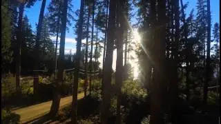 Halfmoon Bay, BC, Canada - Sunset Through Trees
