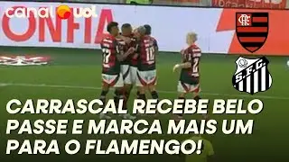 ARRASCAETA FAZ BELO PASSE E CARRASCAL FAZ O SEGUNDO GOL DO FLAMENGO CONTRA O SANTOS!