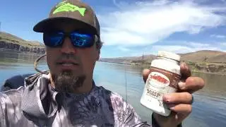 How to Scent Worms For Walleye Fishing