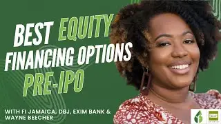 Best equity financing options pre-IPO | DBJ and Exim Bank's Grants, Loans and Equity Products