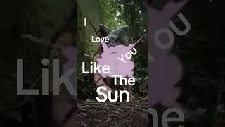 Love you like the sun #afterhuman #furry #cat #therian #fypシ゚viral #makethisviral