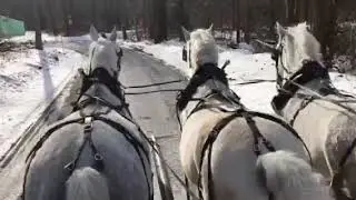 Winter BTT carriage ride
