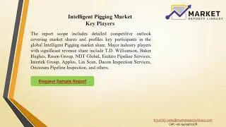 Intelligent Pigging Market PPT