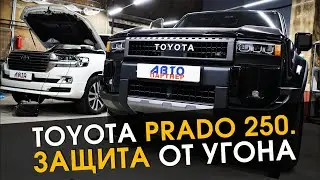 Toyota Prado 250 Theft Protection