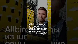Allbirds: кеды из шерсти овцы, ставшие бизнесом на $4 млрд