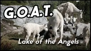 The Greatest Of All Time | Lake of the Angels