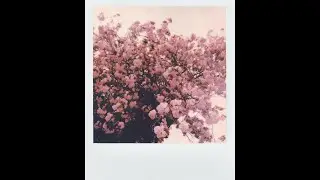 🌹🌹🌹 Spring Melodies💕Весенние Мелодии!!! Музыка Для Снятия Стресса🌿 Успокаивающая Музыка Для Нервов