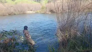 Steelhead fishing in January 2026 at A.R