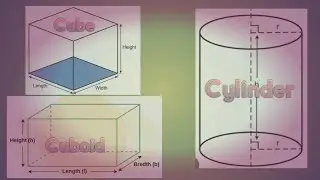 Cube, cuboid and Cylinder Formula explanation 