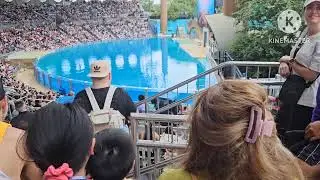 Удивительный морской мир Орландо, Флорида 🐳