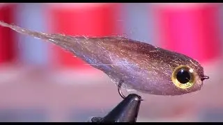Little Minnow Fry -  Underwater Footage! - Small streamer - fly tying tutorial