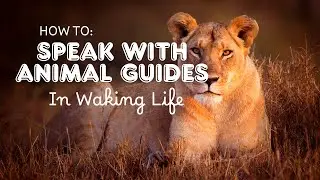 How To: Speak With Animal Guides in Waking Life!
