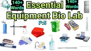 Essential Equipment Bio Lab Vocabulary in English with Pictures| P:5| Bio Lab all things words Vocab
