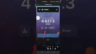 How To Know Your PAWS Token Allocation