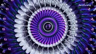Humans.ai - Heart driven AI