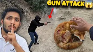 The robber attacked 😱 While rescuing the animals, the attack took place 😰