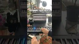 Chord Presets - Just Add The Sustain Pedal - Ripchord VST, Scaler, MPC Pad Perform, Xfer Cthulhu 🔥🎹