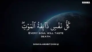 رح سمعك وقلبك بالقرآن❤️🎧 وأستمع لتلاوة هادئه بصوت محمد هشام | راحة نفسية😌 | Mohamed Hesham