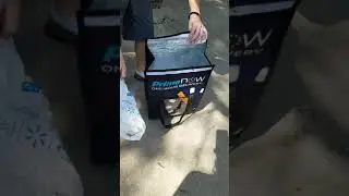 Bat release - from cat vs bat video