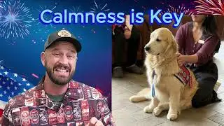 July Tips - Canine Coach