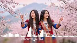 UA LAIB VIM KOJ COVER