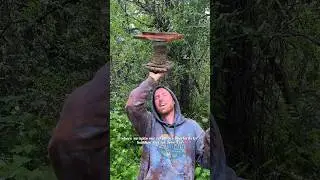 Строим кормушку для птиц из мусора #мешоксгрязем #сад #строительство