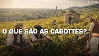 O QUE SÃO AS CASINHAS DE PEDRA NOS VINHEDOS DA BORGONHA?