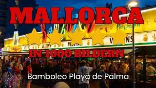 MALLORCA IN 1000 BILDERN - 07610 -20 - Playa de Palma - Bamboleo