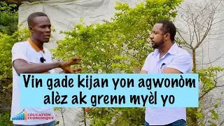 Vin gade kijan yon agwonòm alèz ak grenn myèl yo