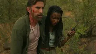 The Family are tracking lions