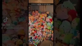 Squishmallow collection struggle!