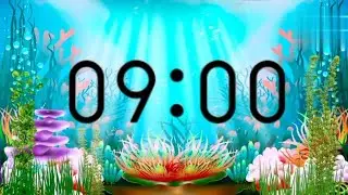9 Minute Relax Timer ⏰ | Deep Relax & Calm Music | Alarm at End
