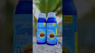 NHỆN ĐỎ SPIRO 240SC PICOM VIỆT NAM