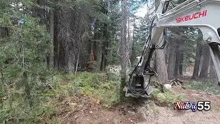 Rut MFG  Excavator Mini Disc Mulcher In Action- NuDig55