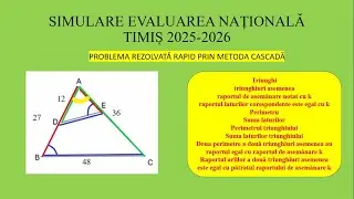Evaluarea națională simulare TIMIȘ-problemă rezolvată