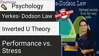 Yerkes Dodson Law - Inverted U Theory | Performance vs. Stress | Psychology