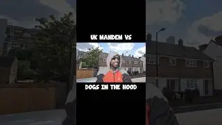 Британский мэндем против собак в гетто #mandem #london #hood #urban #councilestate #dogs