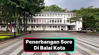 Terbang Sore di Balai Kota