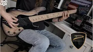 Siebe playing Dingwall Super J -The Charm The Fury - No End In Sight bass cover