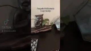 Penguin Classics Have Daddy Energy | Book Collecting | Oscar Wilde Fiction TikTok #shorts