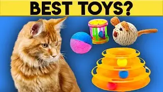 Best Cat Toys For Indoor Cats 2020 (Must Buy)