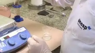 The Functional Materials & Nanotechnology Characterization Center- University of Sao Paulo State