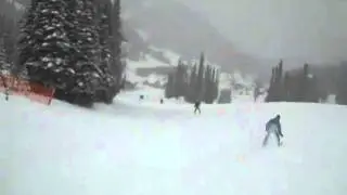 VID00080