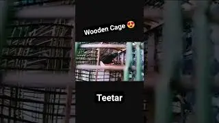 Beautiful Wooden Cage. #cage #wood #birds #teetar #animal #pakistan