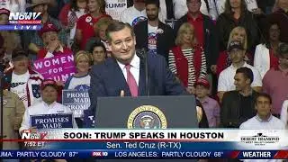 VYING FOR RE-ELECTION: Sen. Ted Cruz (R-TX) at #MAGArally in Houston (FNN)