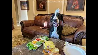 Happy Great Dane Chefs Celebrate Memorial Day With Burgers & Thank You